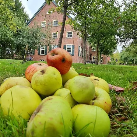 Gulfhof Boomgaarden 2 Evert *