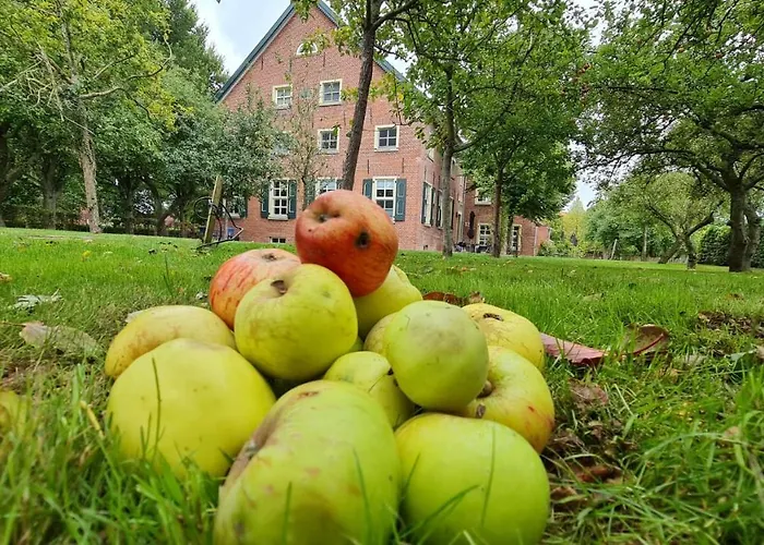 Gulfhof Boomgaarden 2 Boomgaarden 2 Evert *